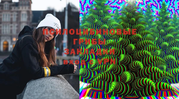 трава Бородино