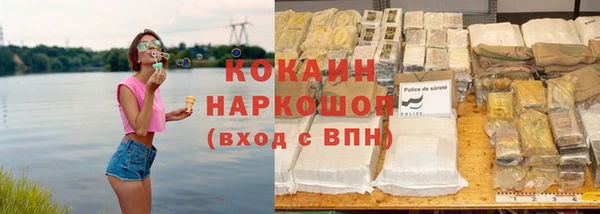 трава Бородино