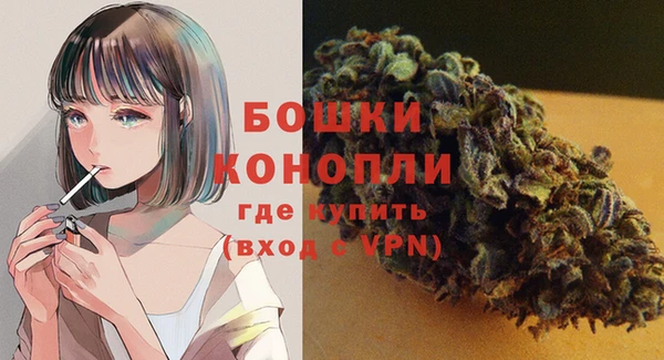 трава Бородино